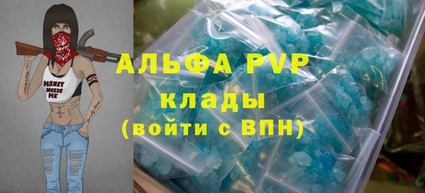 спиды Аркадак